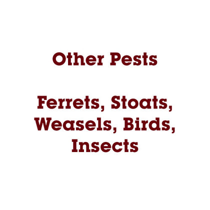 Other Pests